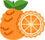 Bitter Orange