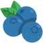 Blueberry