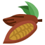 Cacao