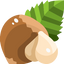 Hazelnut