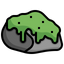 Moss