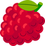 Raspberry