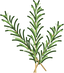 Rosemary