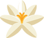 Tuberose